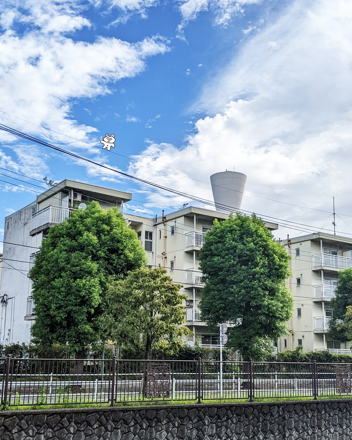 main_image_g