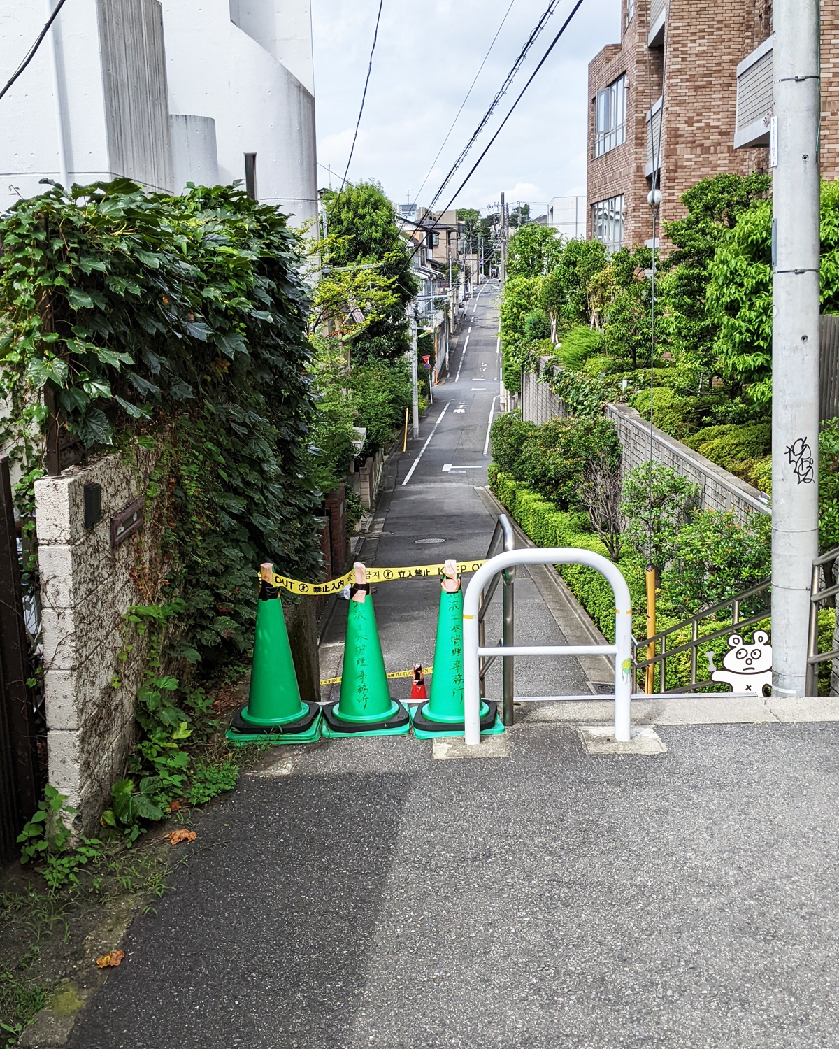 main_image_i