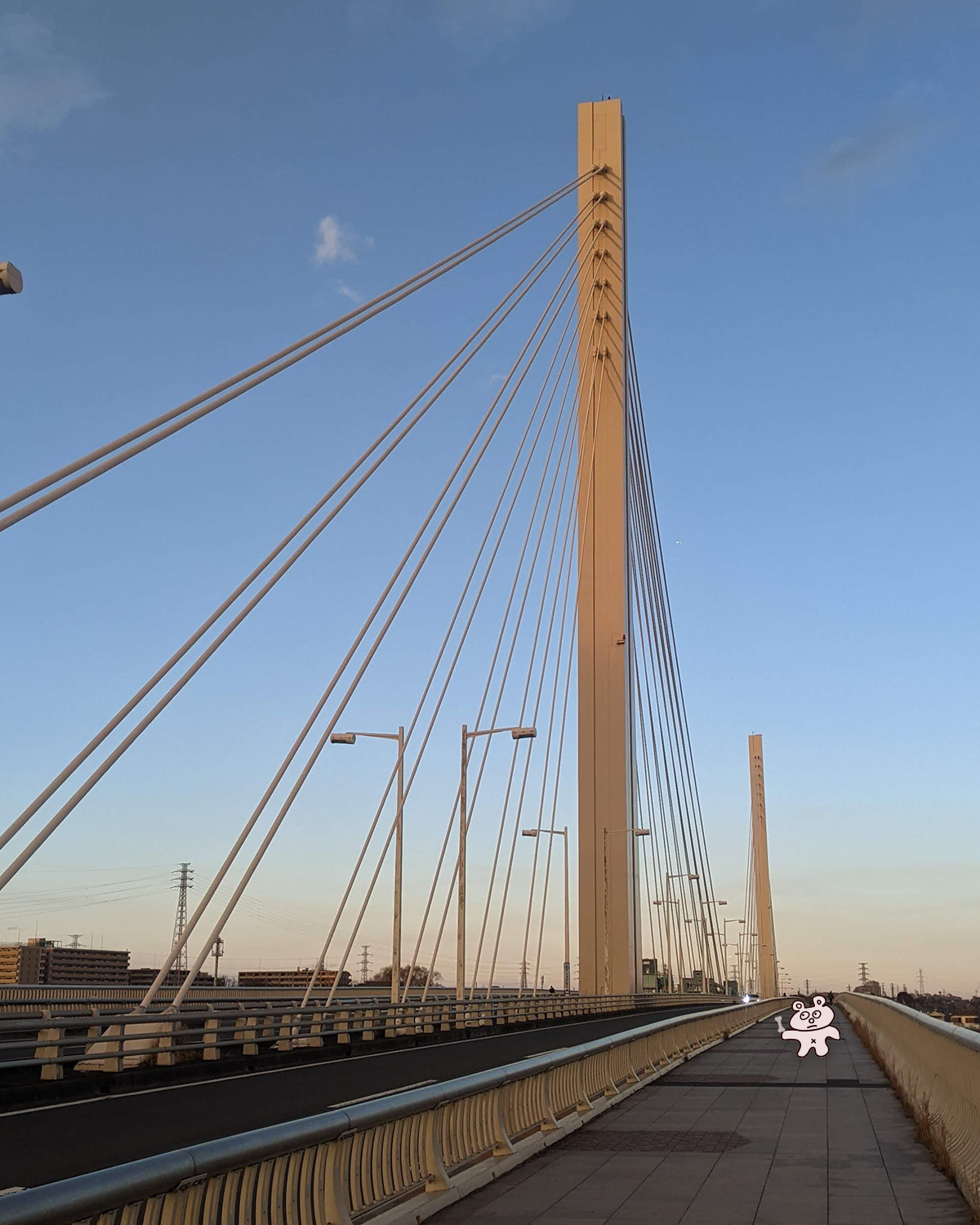 main_image_n